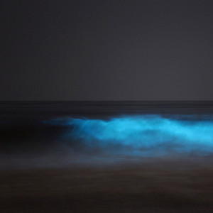 Drum Solo +, "Sounds like memory . . ."