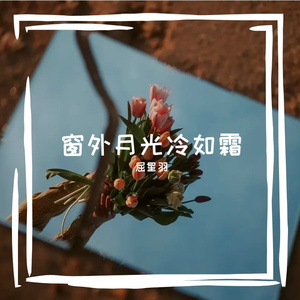 窗外月光冷如霜