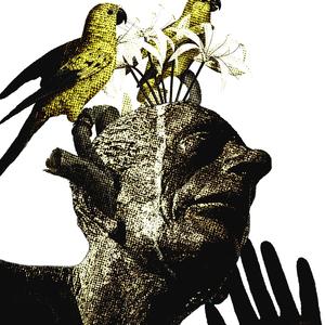 Corpúsculos de Meissner