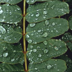 放松微波（解压纯音乐）