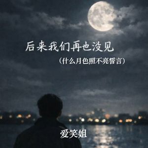 后来我们再也没见（什么月色照不亮誓言）