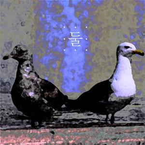 미친 그리움으로 살아가는 우리들에게