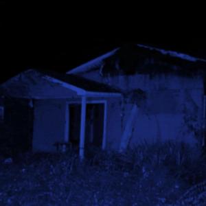 you are here to stay