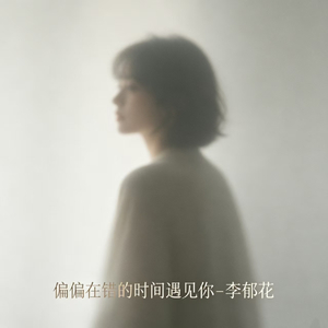 偏偏在错的时间遇见你