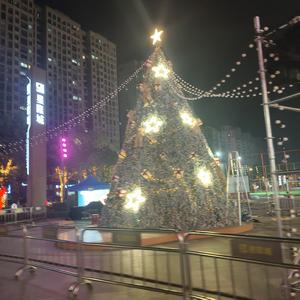 一个人也可以自由快乐