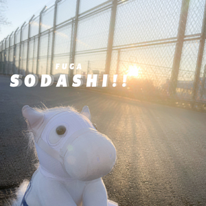 SODASHI!!
