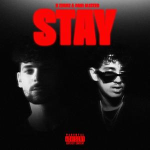Stay (feat. Dani Alister)