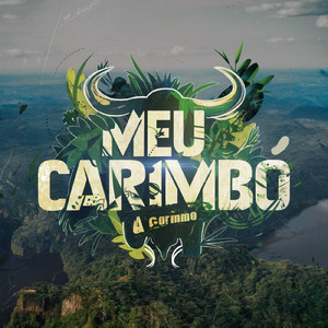 Amazon Brazil