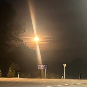 Tunnustamine ja hoolimine