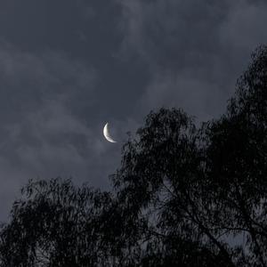 Sempurna (Acoustic Instrumental)