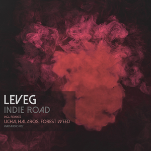 Indie Road (Original mix)