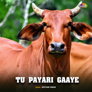 Tu Payari Gaaye