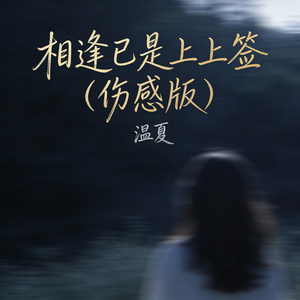 相逢已是上上签(伤感版)