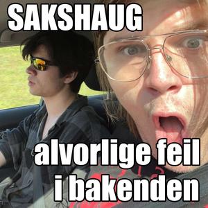Alvorlige Feil I Bakenden
