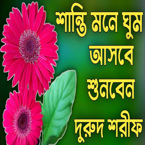 শান্তি মনে ঘুম আসবে শুনবেন দুরুদ শরীফ মধু মাখা দুরুদ শরীফ