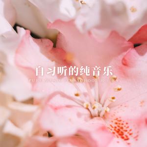 灯盏 (刷题自习室)