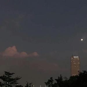 招牌动作 Acappella ver.（翻自 蔡依林）