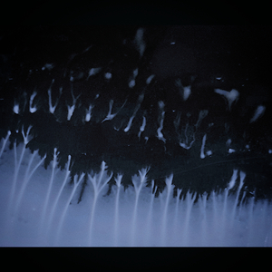 The Skies Are Ash (Instrumental Version)