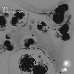 Beautiful Girl, Drying Her (Original Mix)