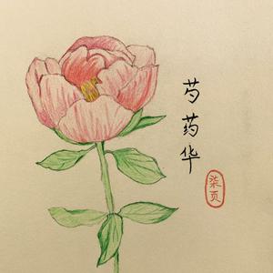 芍药华