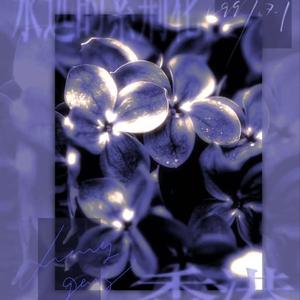 紫荆花盛开（致敬版）