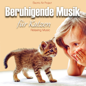 Der Tag beginnt (Music for Cats)