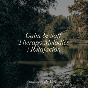 Ondas Suaves de Soledad