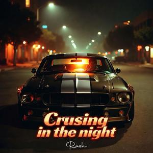 Crusing In The Night
