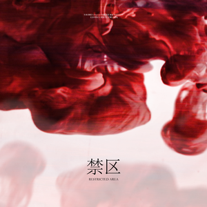 禁区-《法外禁区》授权OST（翻自 Aalia）