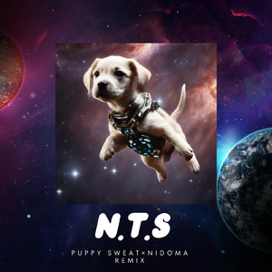 N.T.S (feat. NIDOMA) [Remix]