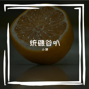 鸦儆斯胀诩晌