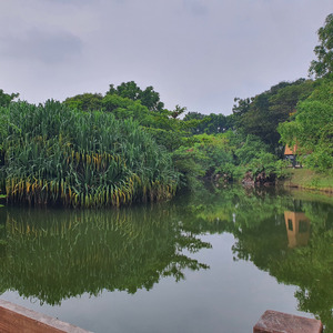 Bohongi Hati Ini (Acoustic)