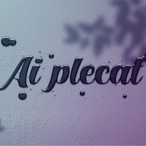 Stef - Ai plecat
