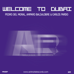 Welcome to Dubai (Midnight Radio Edit)