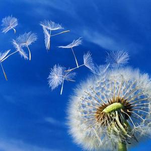 听风吹过的声音