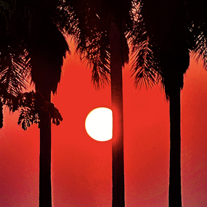 ดินแดนวิเศษ