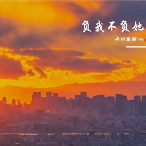 负我不负她（热播原唱版）