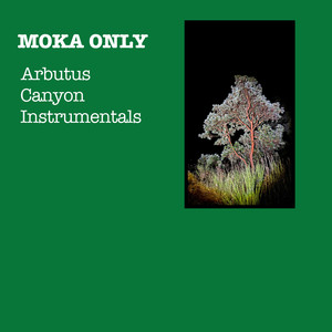 Or Somthin (Instrumental)