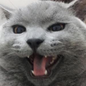 心碎男孩 (Prod. by Jeston)