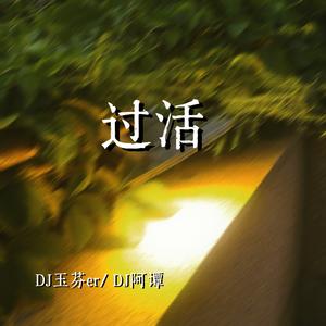 过活(DJ女版)