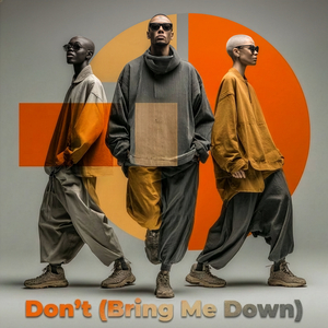 Don't (Bring Me Down)
