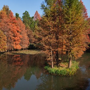 1_《如果世界否定了你存在的意义，那么我会加倍肯定你》