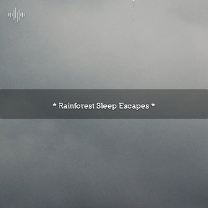 Rainforest Sounds