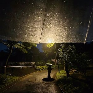 街角星光_43463222211543040_1757676166359