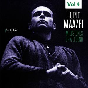 Sinfonie Nr. 4, c-Moll, D 417, „Tragische“: I Adagio molto. Allegro vivace