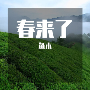 春来了 demo
