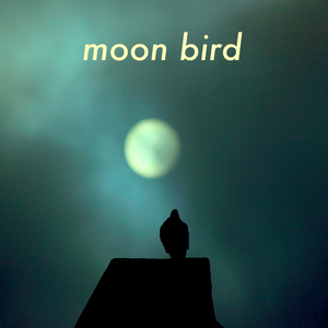 Moon Bird