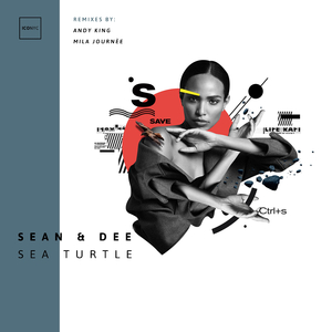 Sea Turtle (Original Mix)
