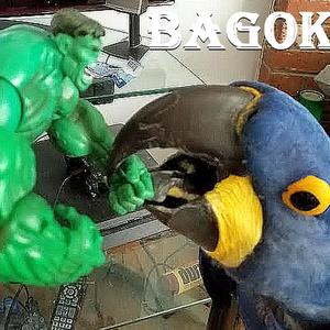 The Bucket Truck Rescue