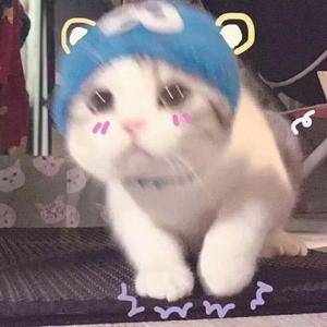 你是我想要的恋爱